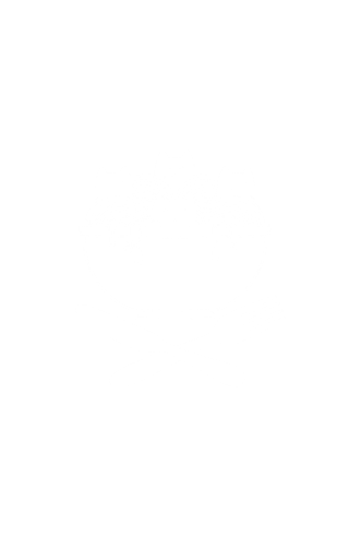 Pasta Cats Ramen Spaghetti