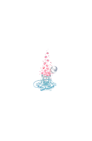 Gravity Tobe Fonseca Astro Meditation Roses