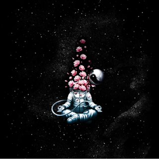 Gravity Tobe Fonseca Astro Meditation Roses