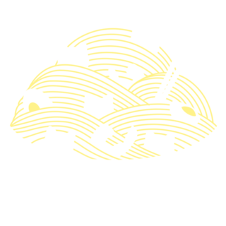 Ramen Lines Minimalist Cat