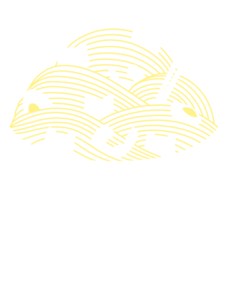 Ramen Lines Minimalist Cat
