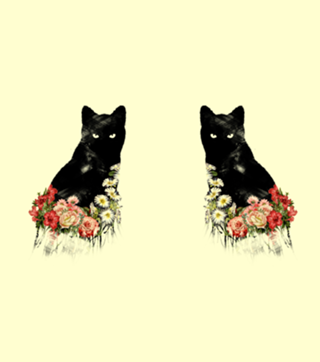 Black Cat Vintage Flower Good Luck