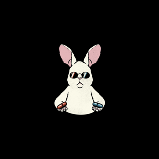 Follow The White Rabbit Pocket