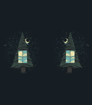 Go Outside To Look Inside