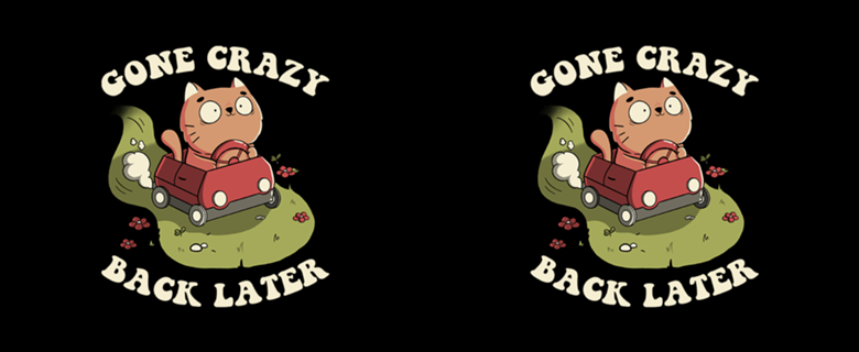 Cute Kitten Gone Crazy Back Later