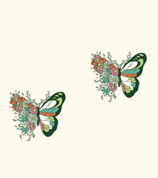Nature Butterfly Metamorphosis
