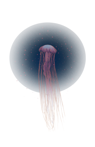 Agua Viva