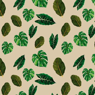 Leaf Life - Coleção 1