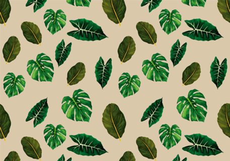 Leaf Life - Coleção 1
