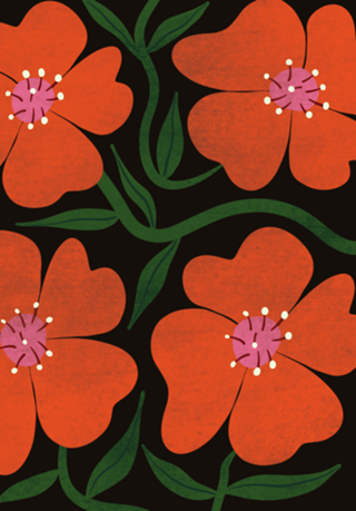 Flora 02