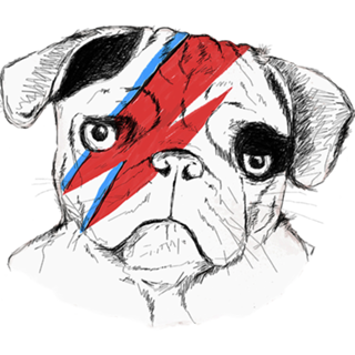 Bowie Dog
