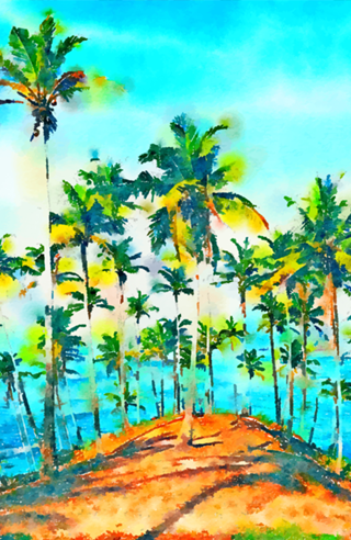 Seas the Day