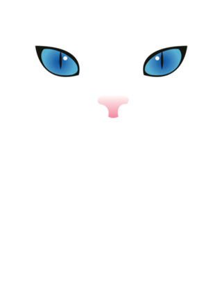 Gato preto