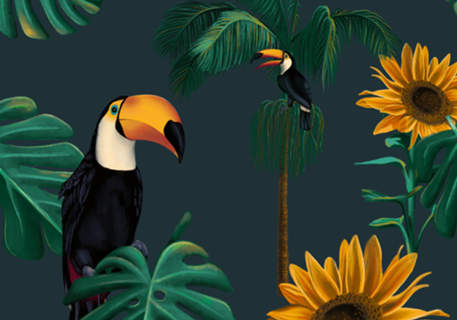Natureza & Vida