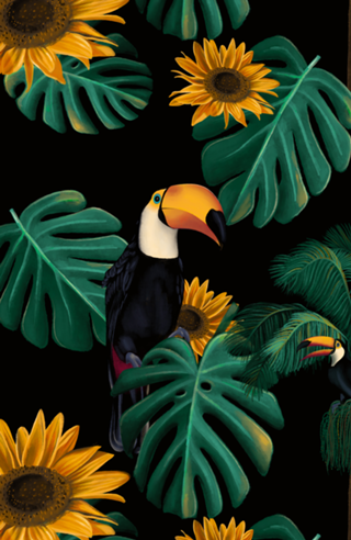 Natureza & Vida