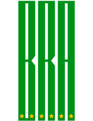 BRA (Verde e Amarelo)