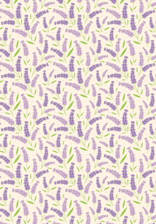 Lavanda