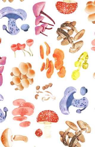 Cogumelos