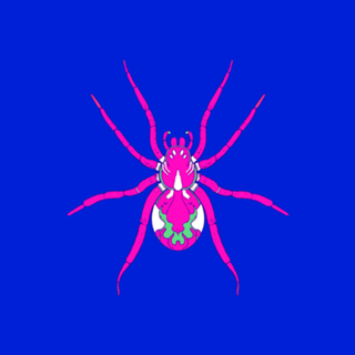 Aranha Rosa