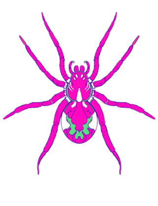 Aranha Rosa