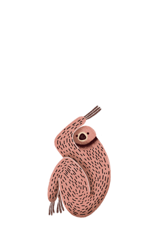 Bicho Preguiça