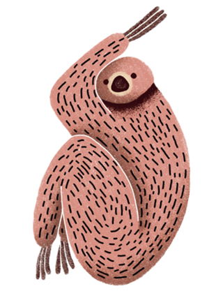 Bicho Preguiça