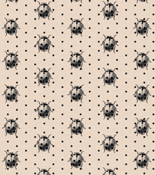 Ladybug