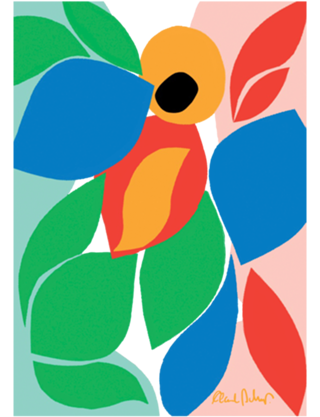 Caju