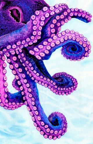 Lady Octopus - Aquarela Polvo Pink