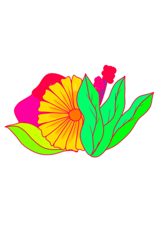 PInk Flower minimal margarita daisy