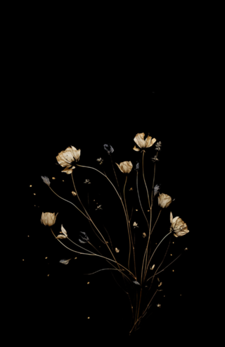 Capinha (flores)