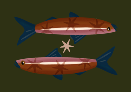 Peixo Sardinha