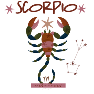 Escorpião - Coleção Signos