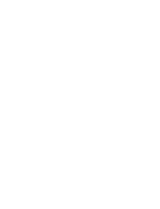 Papo reto