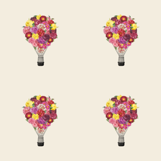 Blooming Balloon