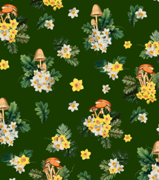 Fungi Fantasy Garden
