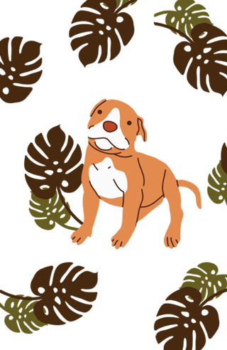 Pitbull filhote
