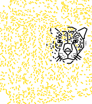 Onça-pintada