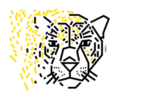 Onça-pintada