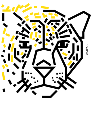 Onça-pintada