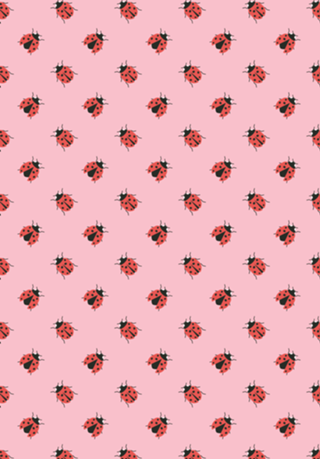 Ladybug