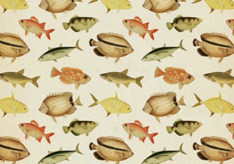 Pattern Peixes Vintage nº 1