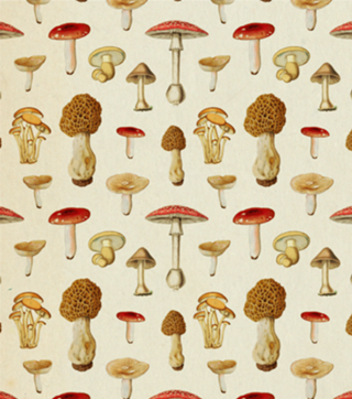 Pattern Cogumelos Vintage nº 1