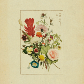 Flores Vintage nº 6