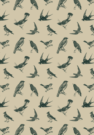 Pattern Pássaros Vintage nº 1