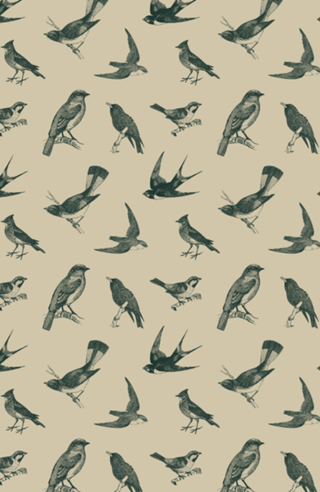 Pattern Pássaros Vintage nº 1