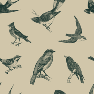 Pattern Pássaros Vintage nº 1