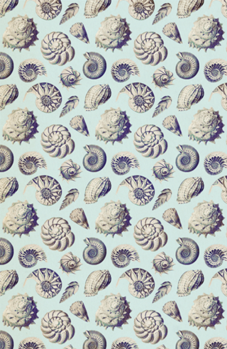 Pattern Conchas Vintage nº 2