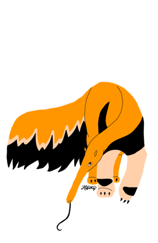 Tamanduá bandeira