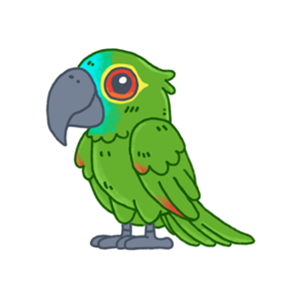 Papagaio Verdadeiro - Fauna Fofa